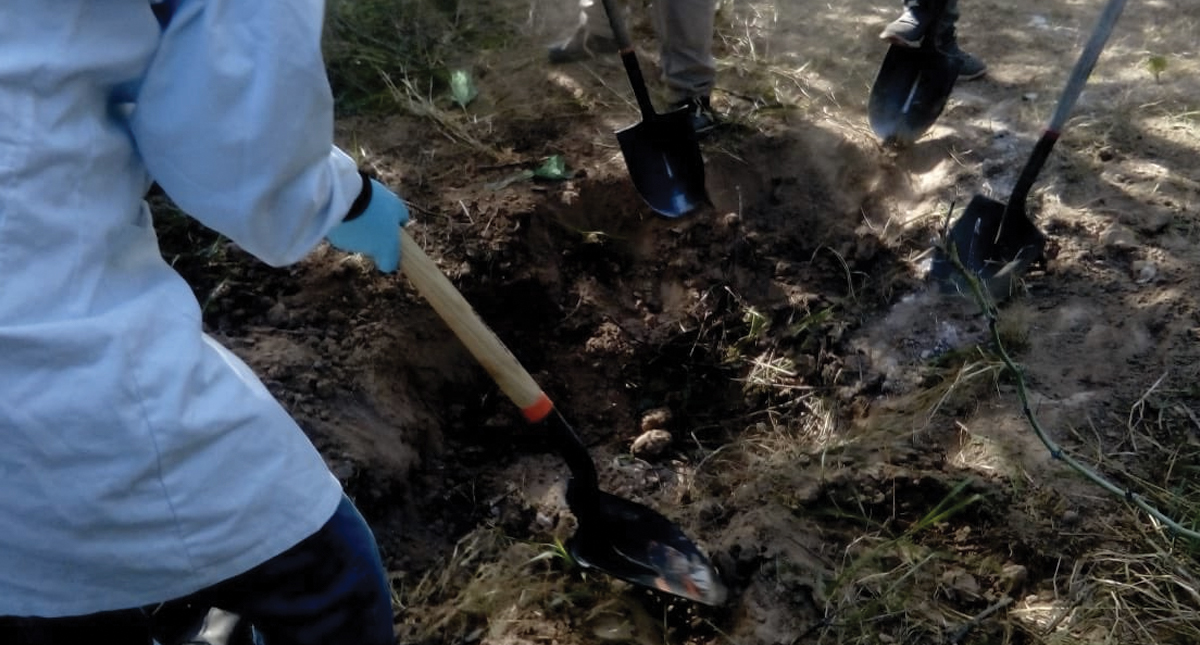 Localizan ropa, zapatos, restos óseos y un cráneo en Sonora