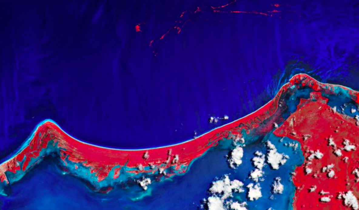 Así se ve el sargazo en Holbox desde el espacio