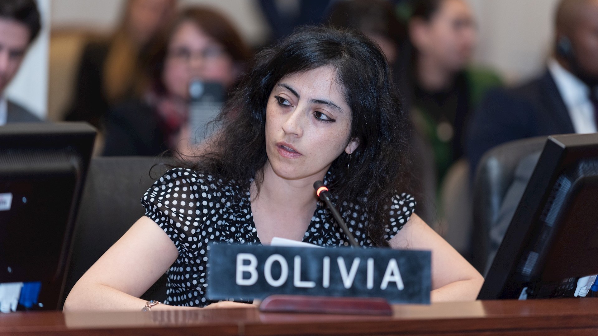 Cancillería boliviana denuncia golpe de Estado y violación de DD.HH.; pide a OEA ‘no ser omisa’