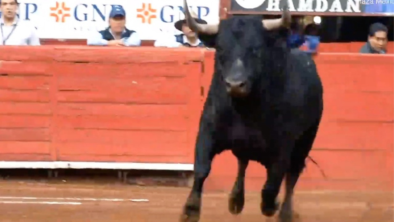 “Ventura y Hermosillo encantan”, por Carlos Yarza “Ventura y Hermosillo encantan”, por Carlos Yarza