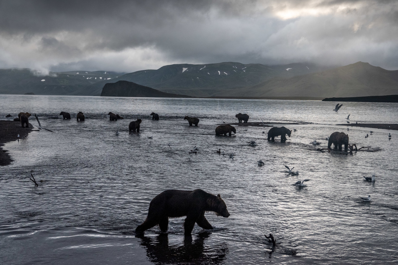 Las mejores fotos del NYT: agosto - 15yip-august-slide-m266-superjumbo