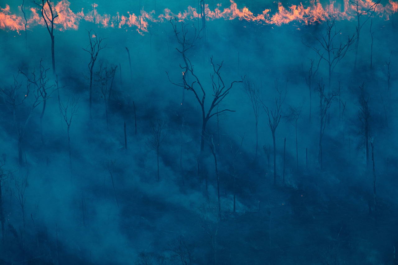 Las mejores fotos del NYT: septiembre