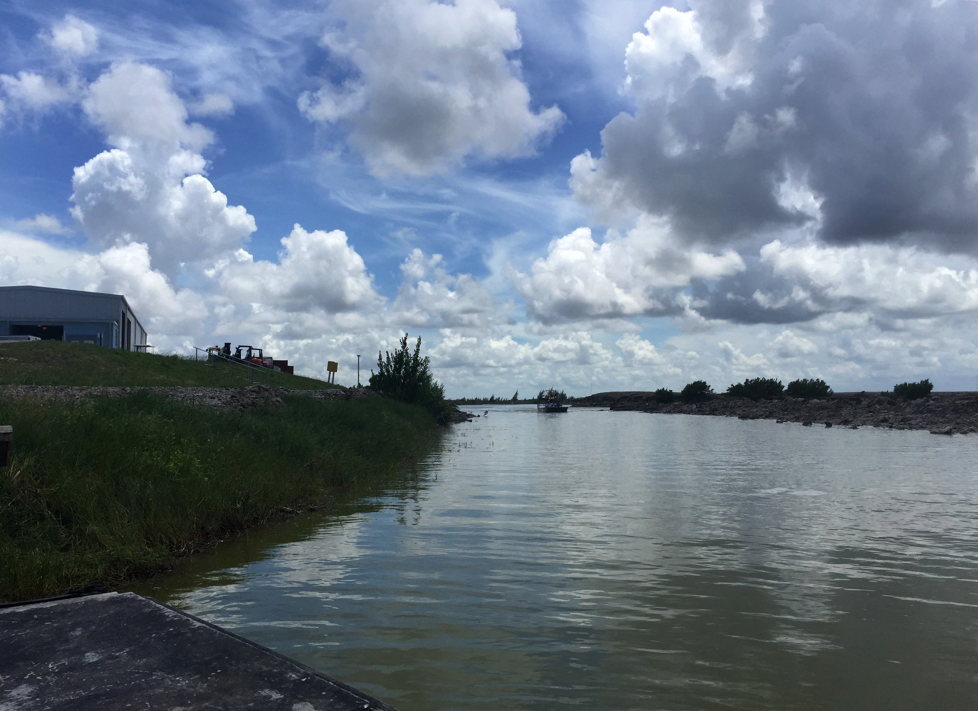 Ambientalistas advierten por renovación de reactores de planta nuclear en Florida - 4d695ccedd6aa96e6985f9224d5d96584abfa67a