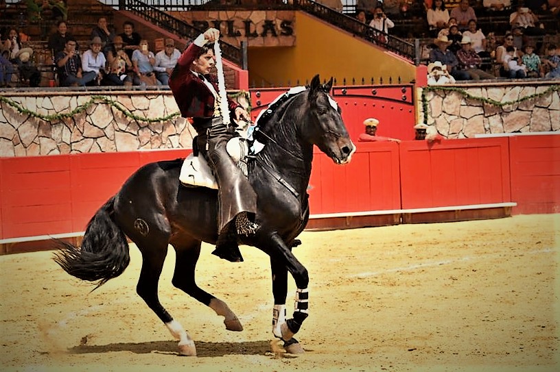 Emiliano Gamero llega a la plaza de sus sueños - 5-8