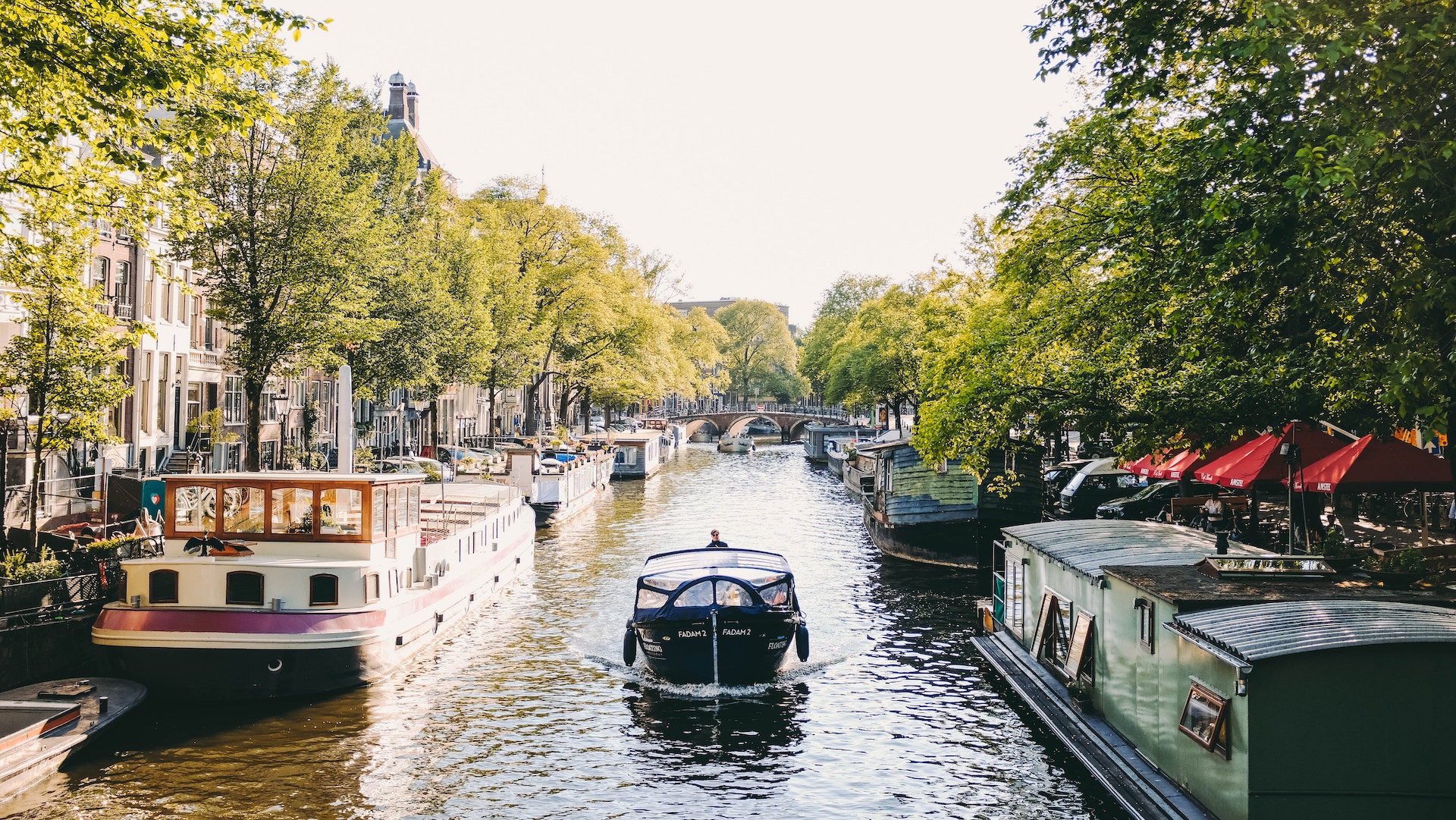 Holanda cambia de estilo, a partir de 2020 solo será Países Bajos