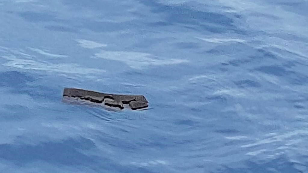 Hallan restos humanos en lugar de accidente de avión en Chile - chile-accidente-avion-fuerza-aerea