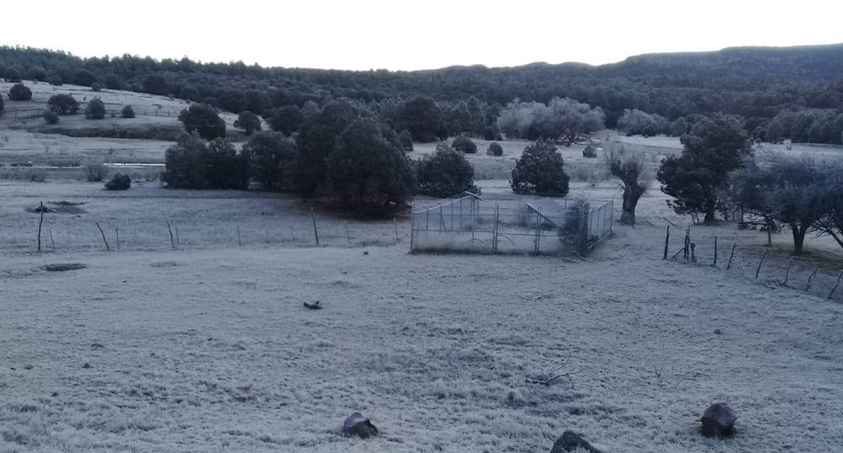 Al menos seis personas han muerto por bajas temperaturas en México