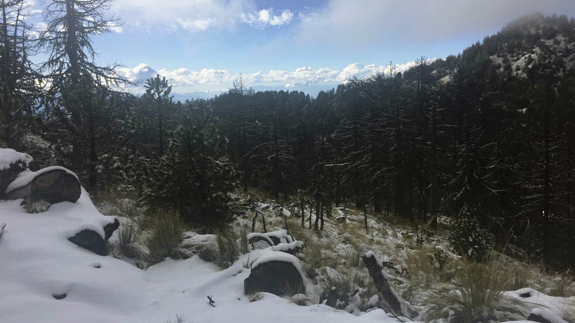 Lluvias fuertes, bajas temperaturas y caída de nieve en México por Frente Frío 25