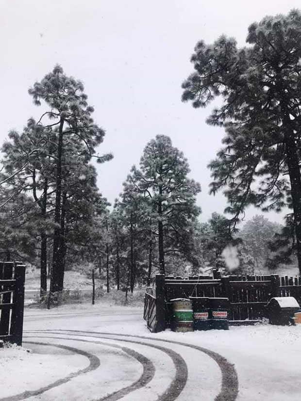 #Video Comienzan nevadas en Chihuahua - comunidad-puerto-lobos-en-madera