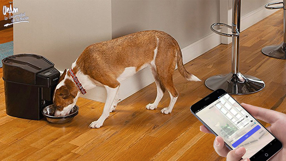 Egresado de la UNAM desarrolla dosificador de alimento para perros