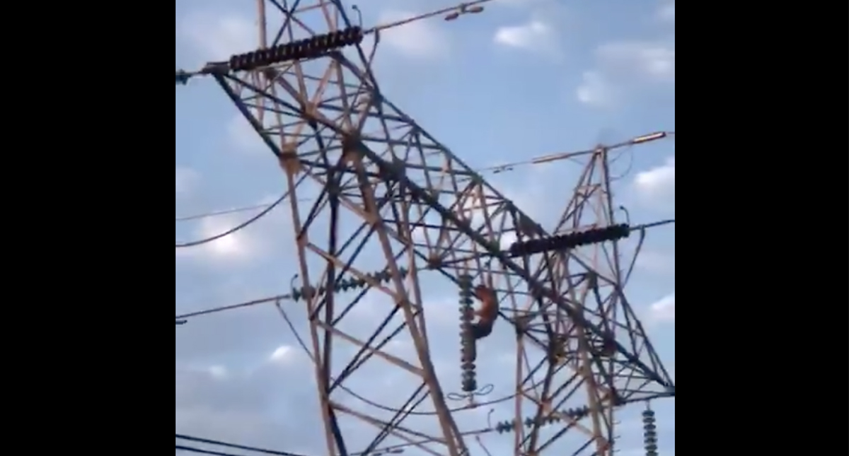 #Video Hombre muere tras sufrir descarga eléctrica en torre de alta tensión