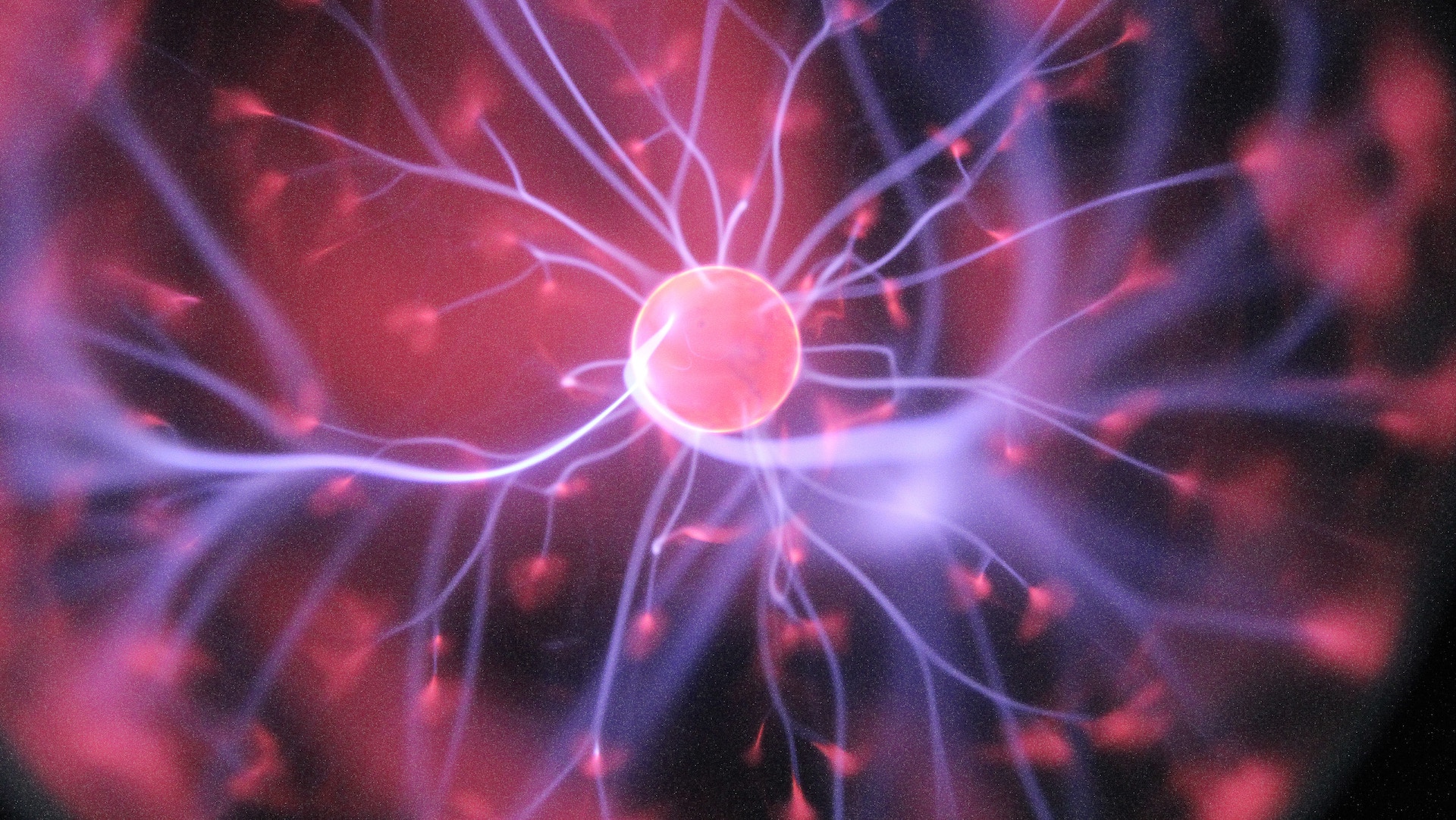 Crean tecnología que permite escrutar los genes de millones de años atrás