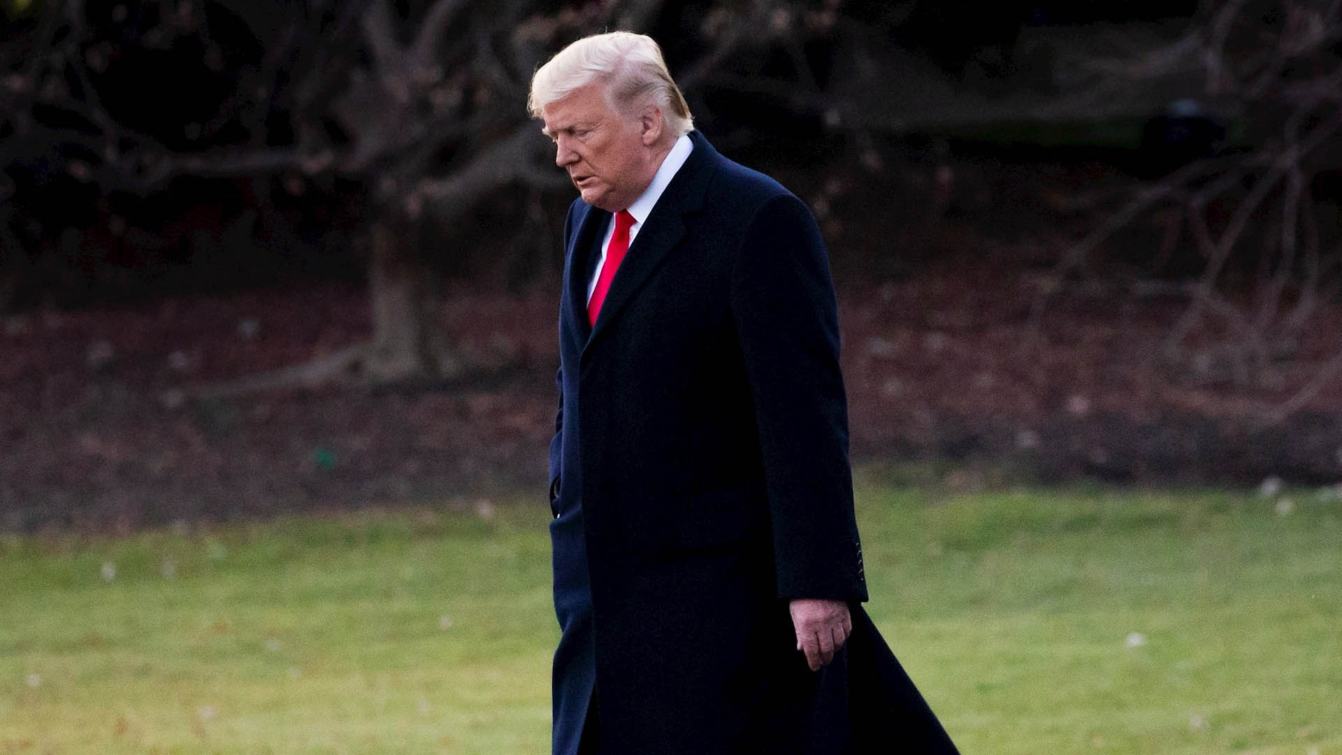 Trump a juicio político por obstrucción y abuso de poder Trump a juicio político por obstrucción y abuso de poder