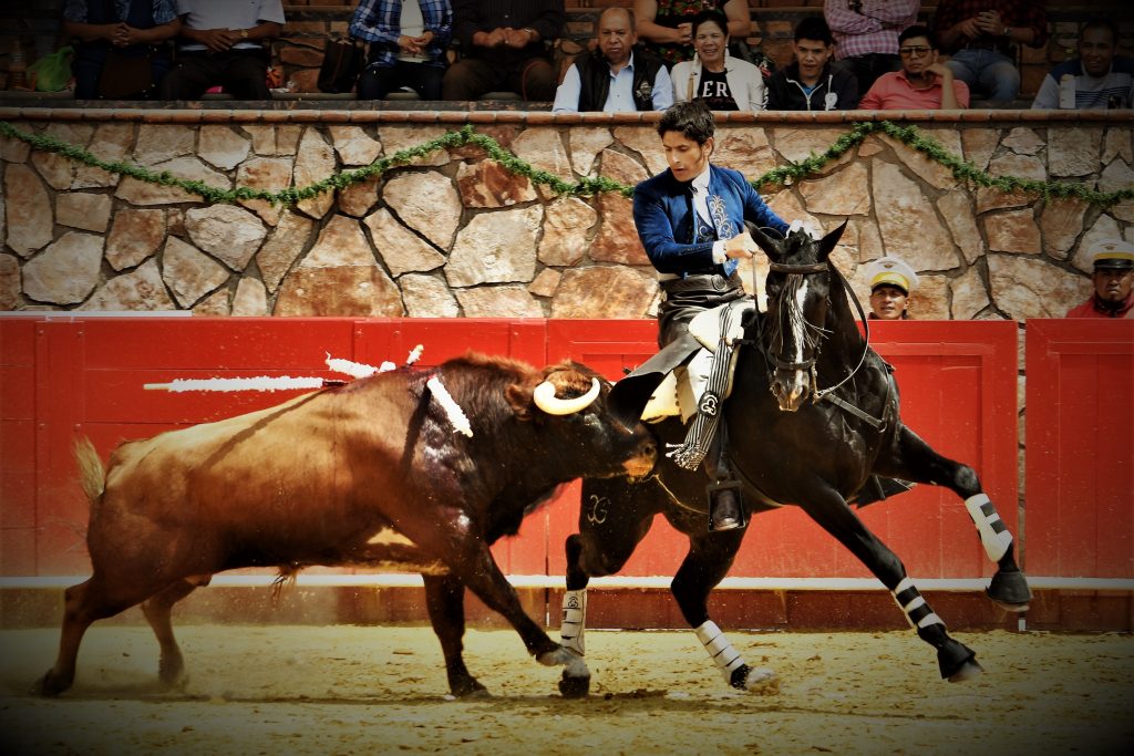 Emiliano Gamero llega a la plaza de sus sueños - emiliano-gamero2