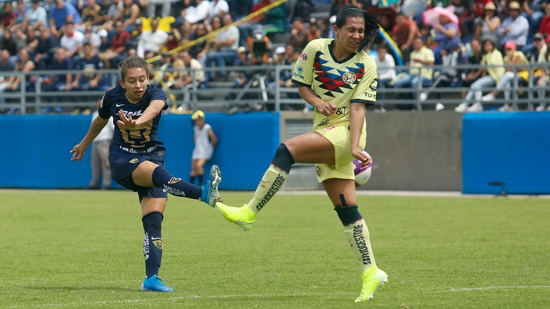 Top 5 de los mejores goles de la Liga Mx Femenil