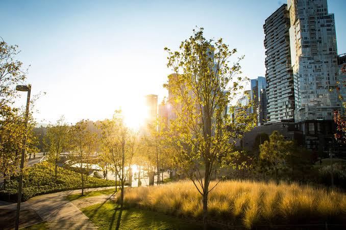 Recomendaciones para el fin de semana (del 5 al 8 de diciembre) - lamexicana