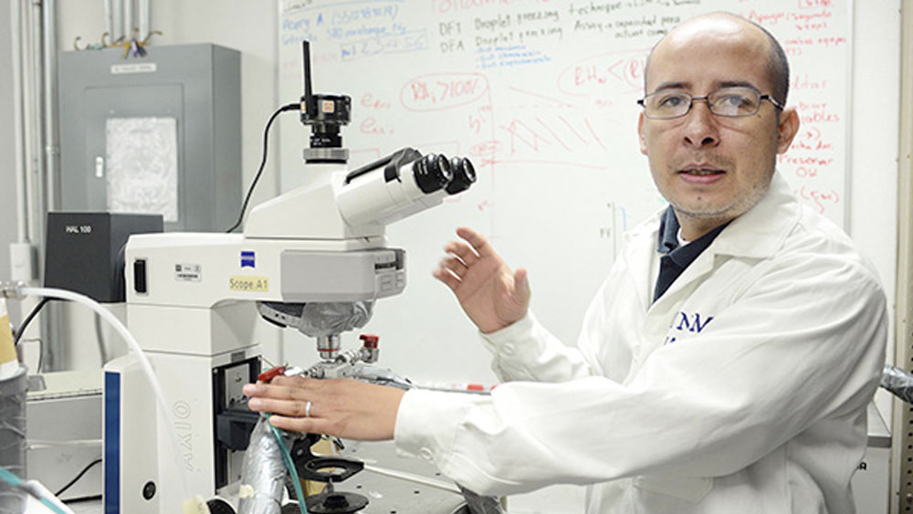 Los avances en ciencias y humanidades de la UNAM en 2019