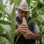 Productores de maíz amenazan con bloqueos carreteros, ¿por qué?