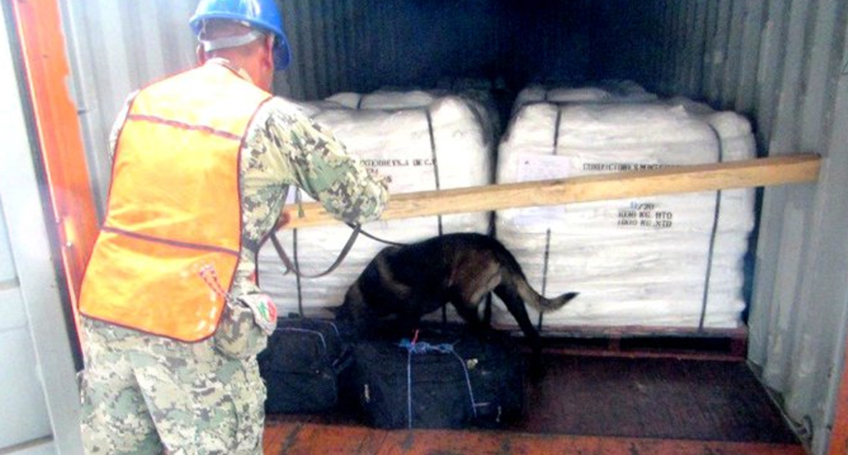 #Video Binomio canino encuentra 56 kg de cocaína en Puerto de Lázaro Cárdenas