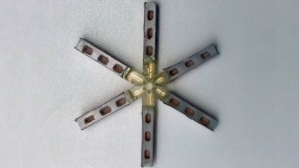 Desarrollan píldora anticonceptiva que se toma una vez al mes