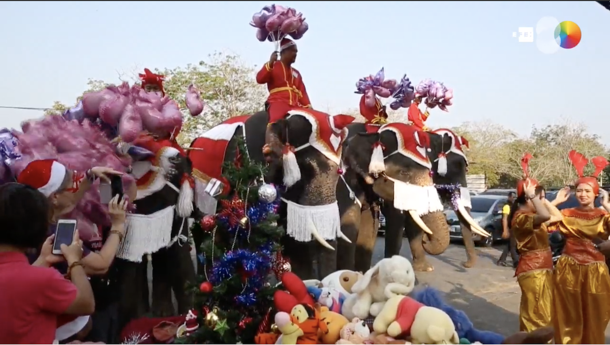 Navidad con cuatro elefantes como protagonistas