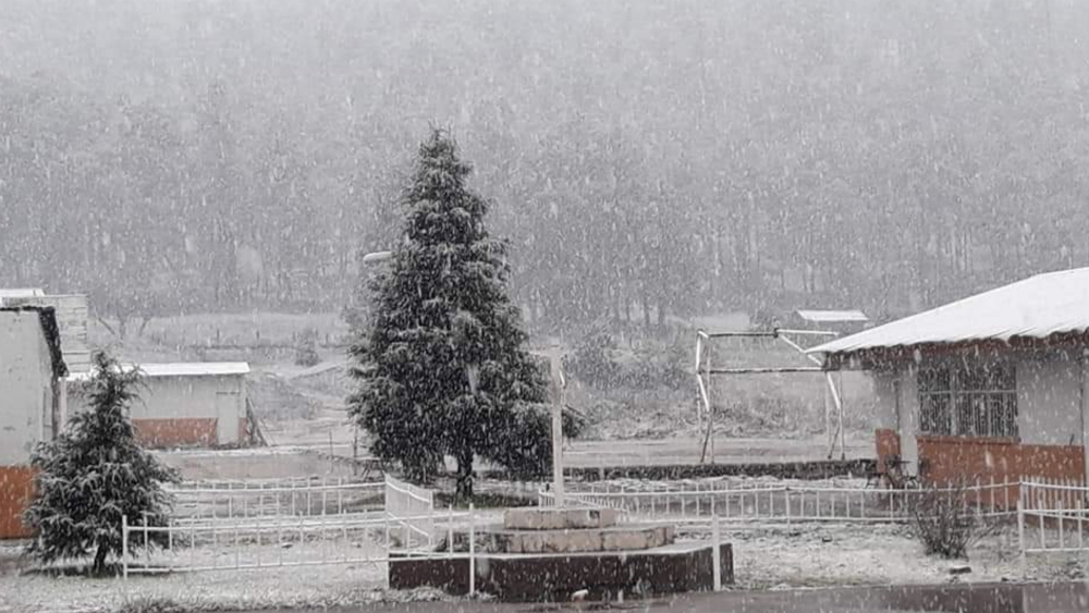 Cae nieve en municipio de Madera, Chihuahua