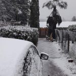 #Video Intensa nevada cubre Cananea, Sonora - nevada-en-cananea-sonora-1-150x150