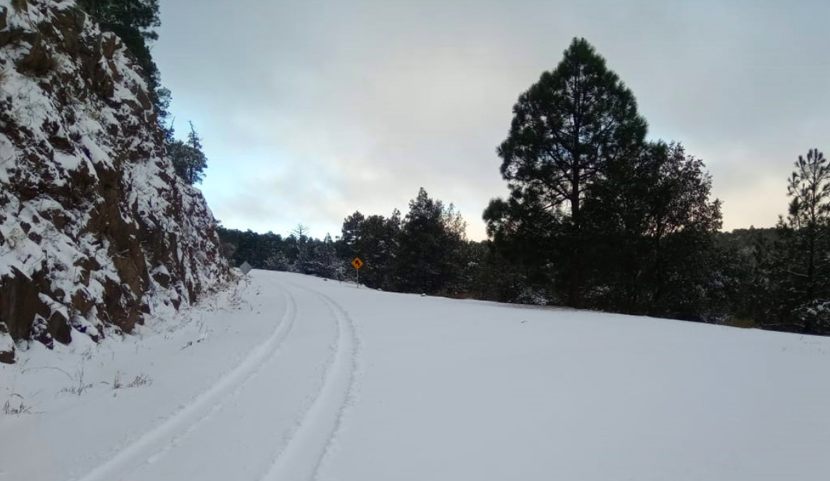 Frente Frío 26 mantendrá clima gélido en el país Frente Frío 26 mantendrá clima gélido en el país