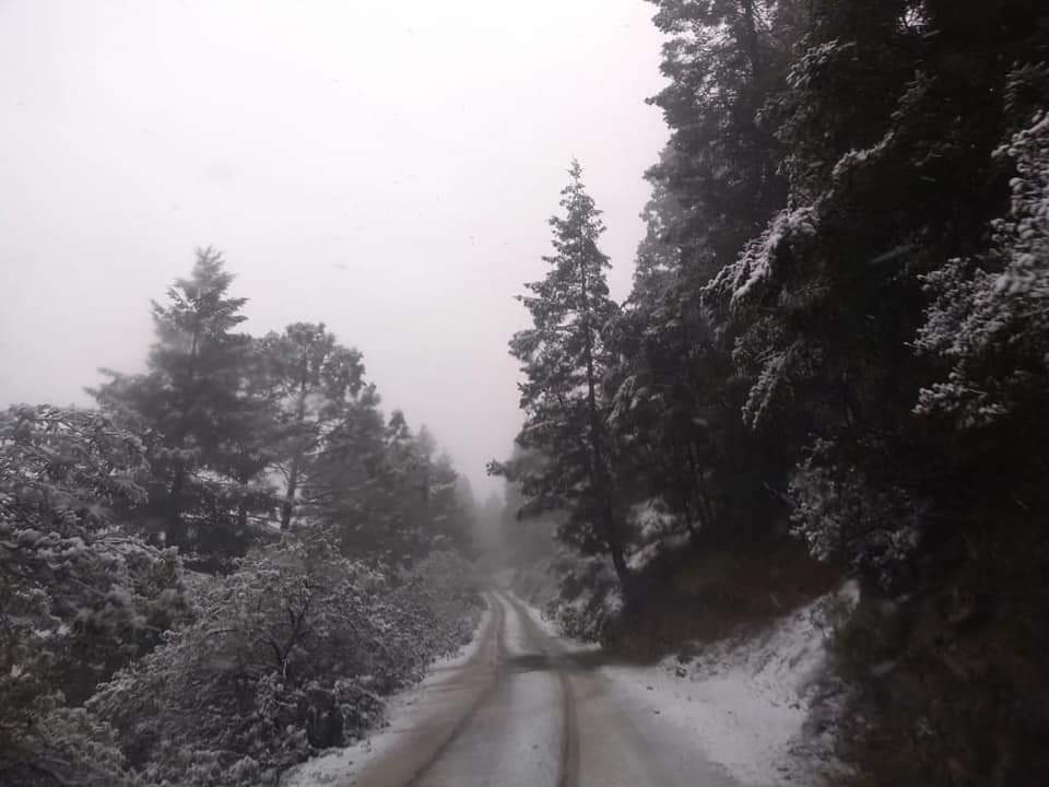 Primera nevada de la temporada en Nuevo León - nevadas-nuevo-leon3