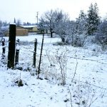 #Video Intensa nevada cubre Cananea, Sonora - nieve-en-sonora-1-150x150