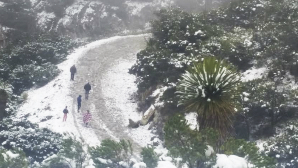 Pronostican nieve o aguanieve en 13 estados para este domingo