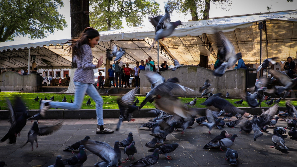 Más de un millón de niños en México tienen altos niveles de plomo