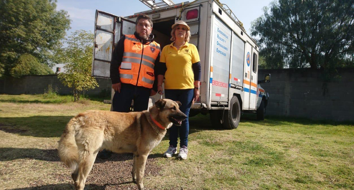 Rescatan a perro en vías del Metro de la Ciudad de México