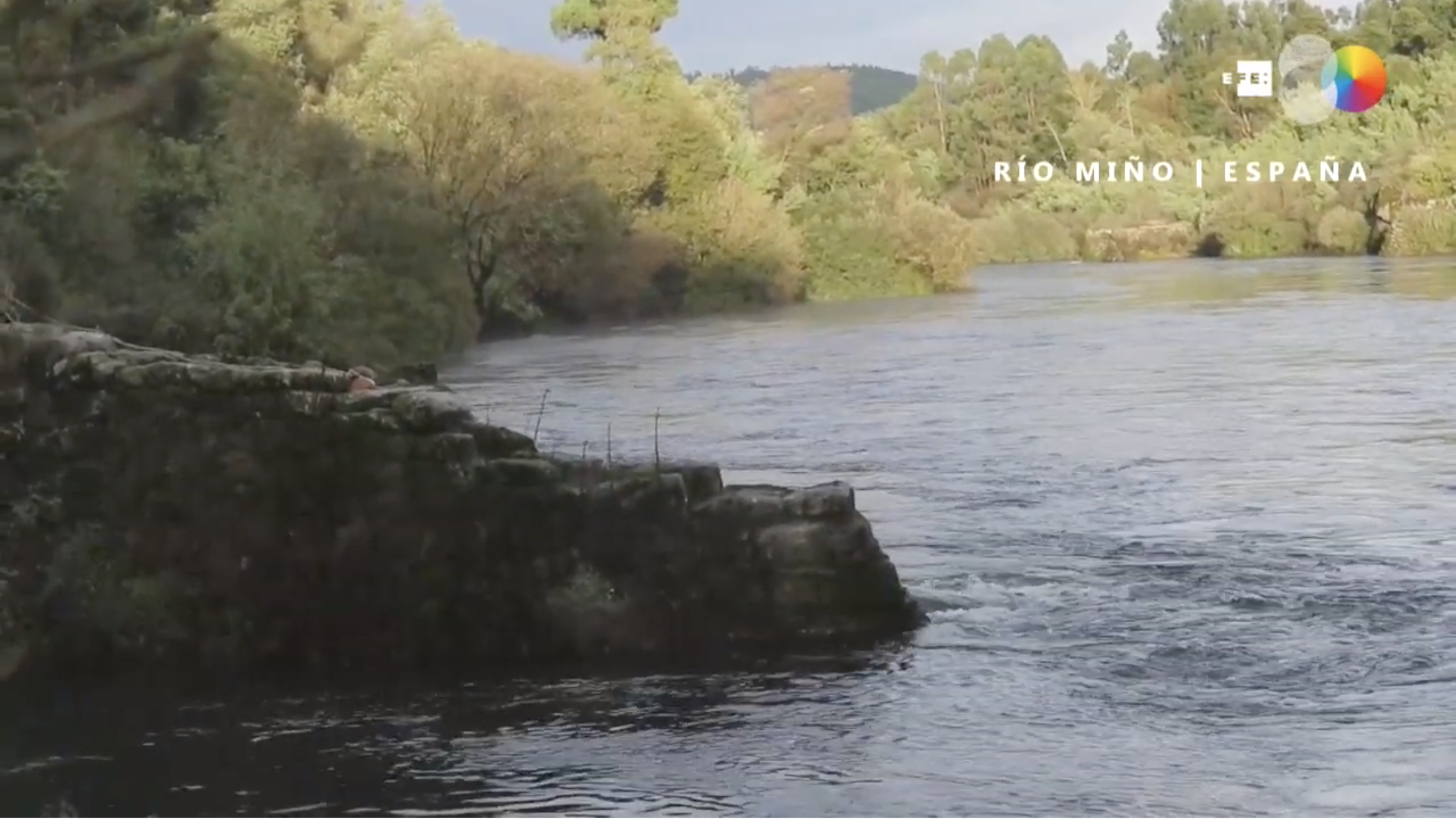 Un arte para capturar la historia