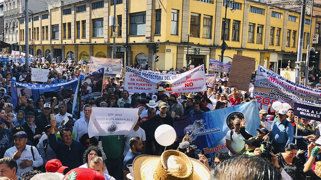 Congreso CDMX pospone discusión de ley de protección a los animales