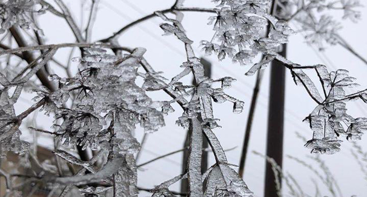 Prevén heladas en ocho municipios de Veracruz por Frente Frío 23