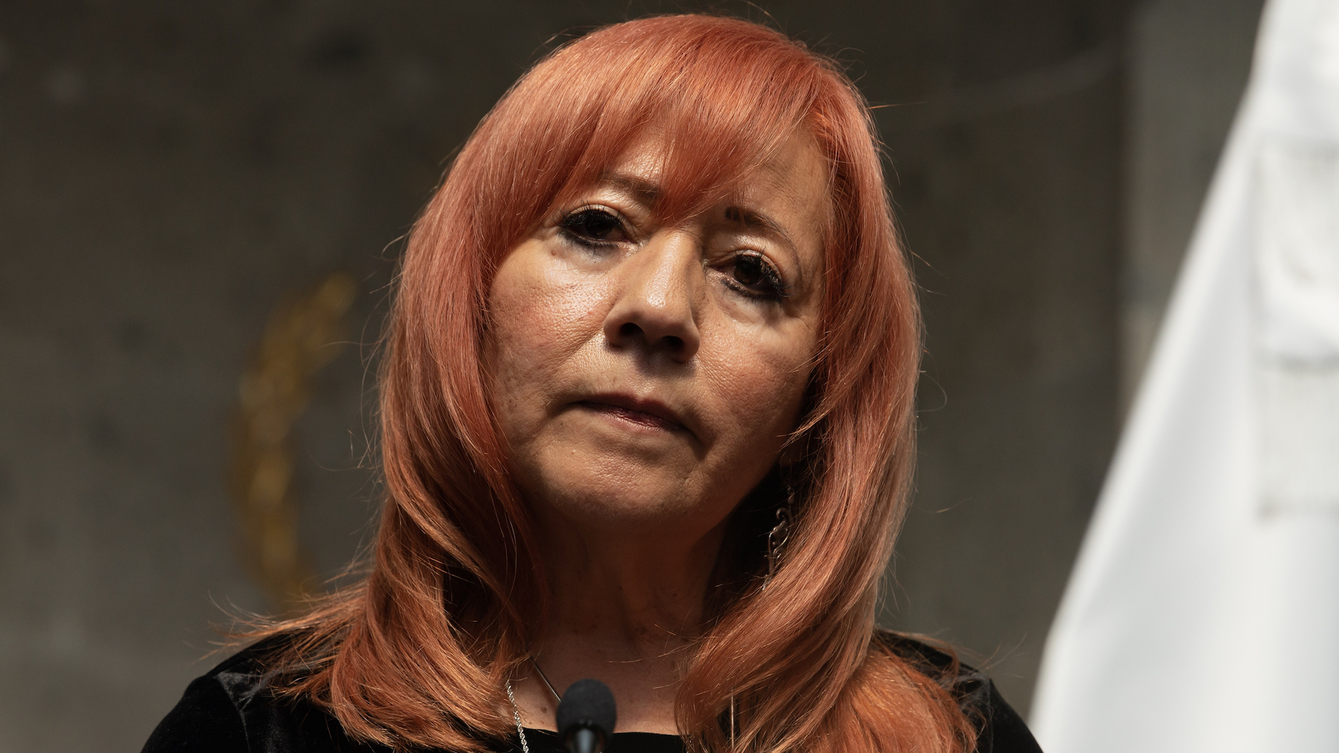 Quienes encabezaron la CNDH eran priistas embozados, asegura Rosario Piedra