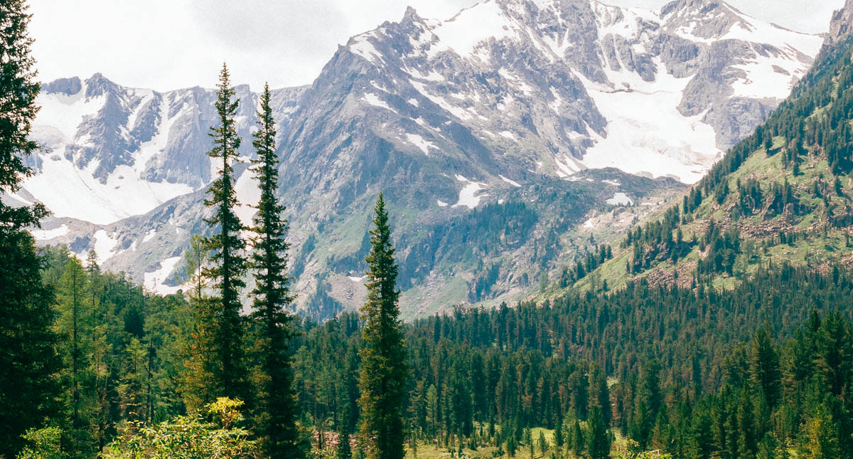 Sujeto simulaba cruce fronterizo con Finlandia para estafar a migrantes en Rusia