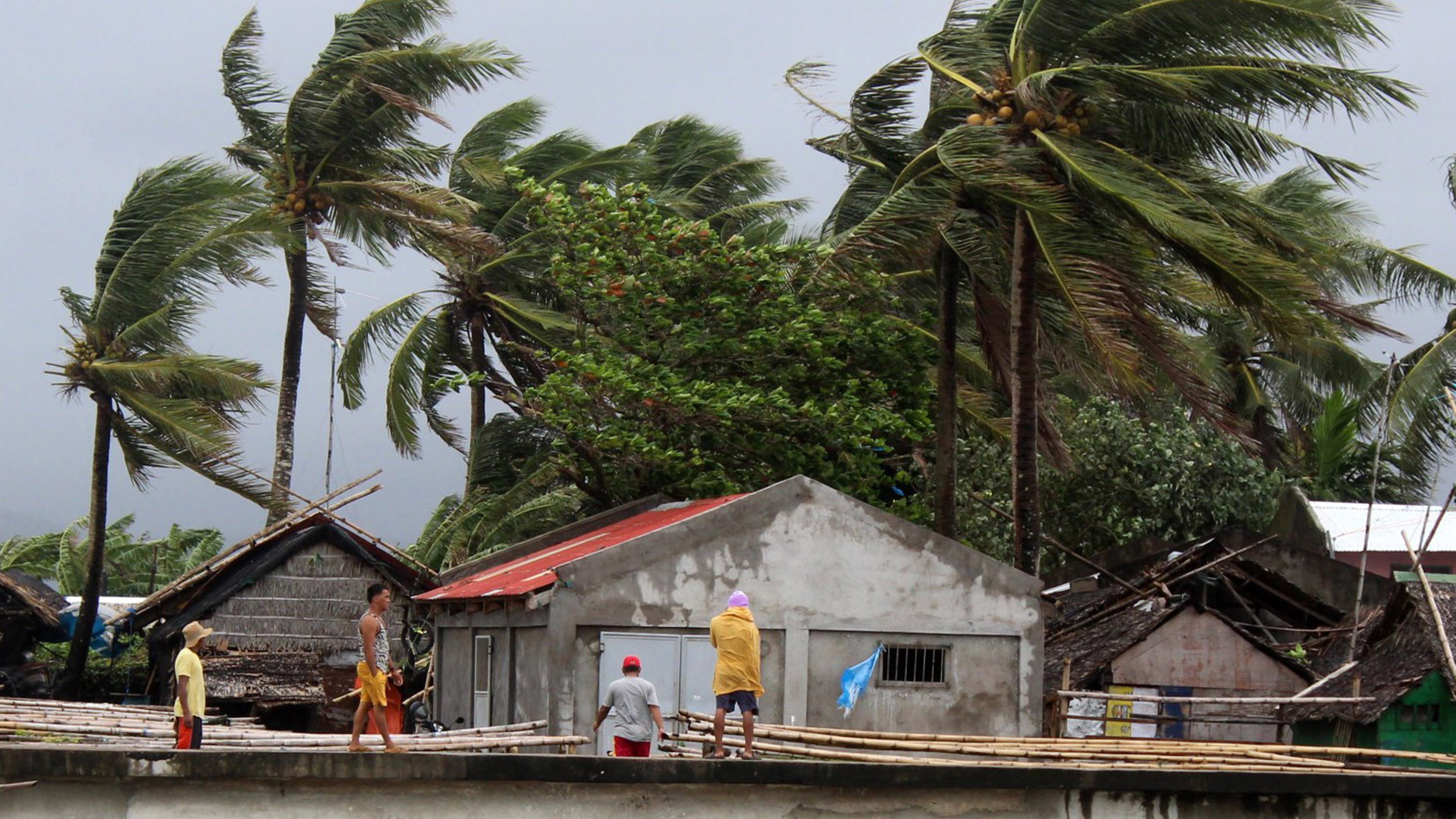 Desalojan el noreste de Filipinas ante la llegada del tifón Kammuri - vientos-fuertes-en-filipinas-por-tifon