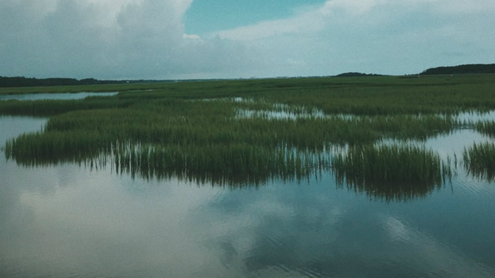Acuerdan México y EE.UU. sobre artículos de medio ambiente en T-MEC