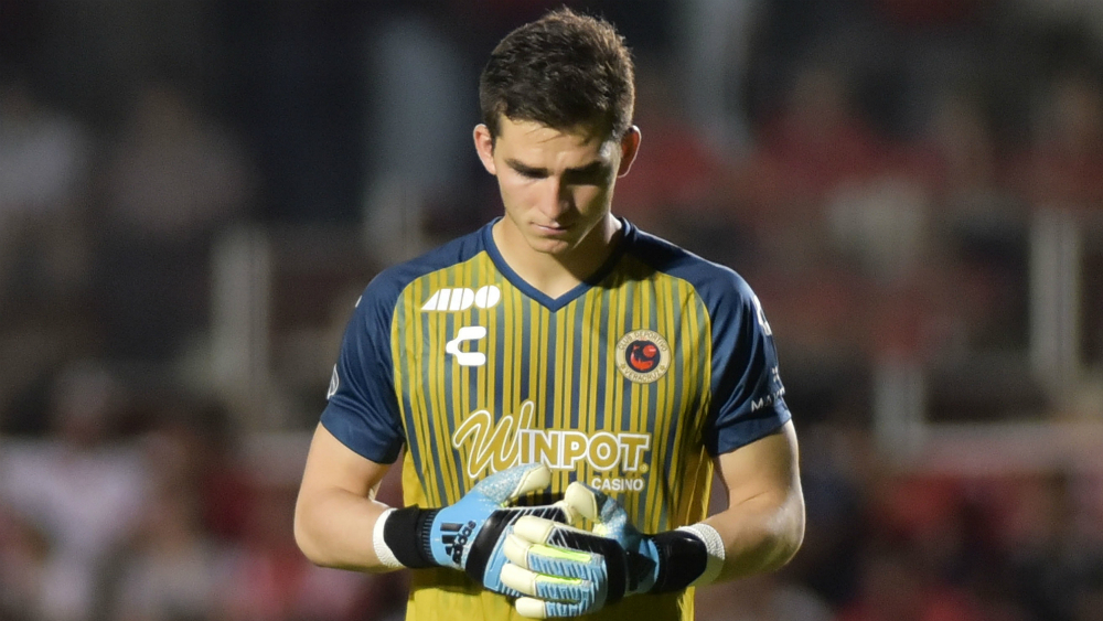 ¿Qué pasa con los tiburones del Veracruz? el análisis de Raúl Orvañanos