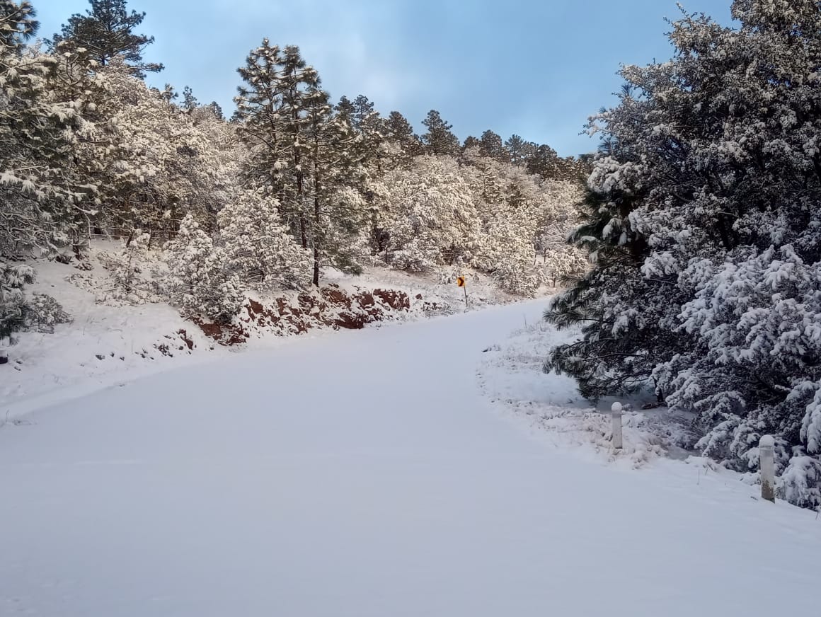 Pronostican nevadas en montañas de Chihuahua y Durango