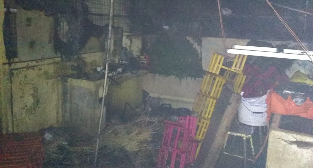 Incendio en Mercado de las Flores de Xochimilco consume 12 locales - afectacion-en-el-mercado-de-las-flores-por-incendio