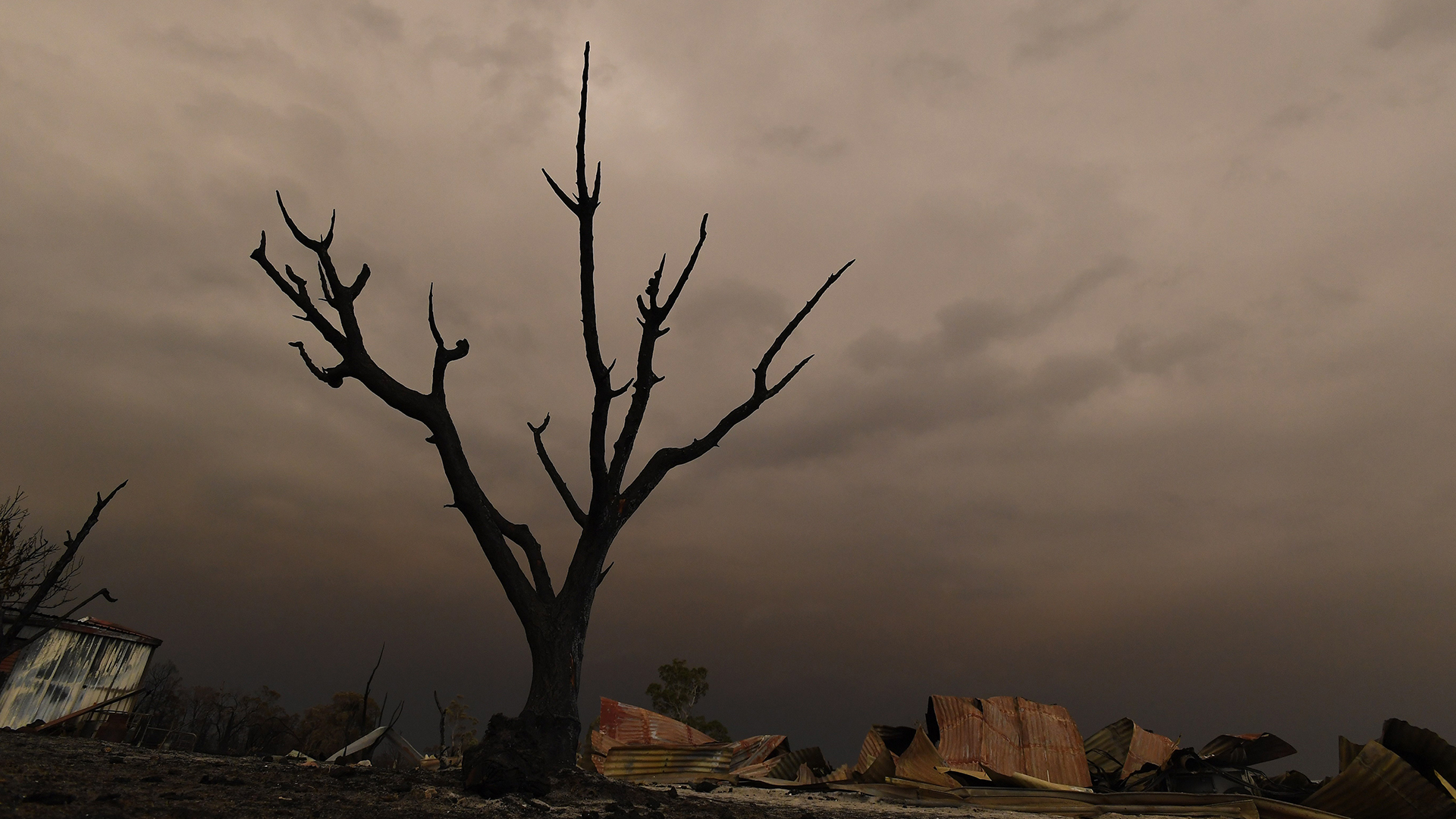 Se eleva a 26 el número de muertos por incendios en Australia Se eleva a 26 el número de muertos por incendios en Australia