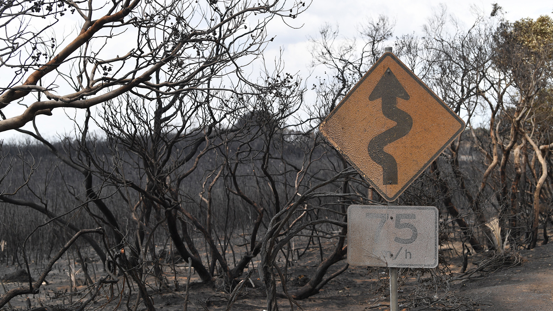 Piden a 240 mil personas evacuar Australia por amenaza de incendios Piden a 240 mil personas evacuar Australia por amenaza de incendios