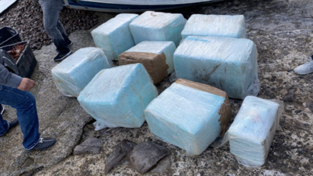 Militares aseguran droga valuada en más de 3.7 mdp en Baja California