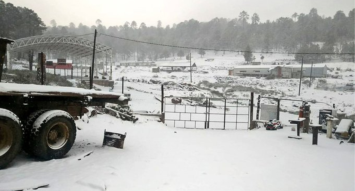 Suman nueve municipios con caída de nieve en Durango