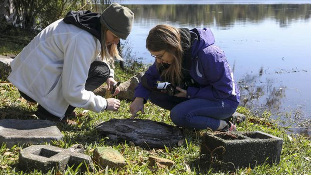 Hallan en lago de Florida cementerio afroamericano olvidado por 70 años - cementerio-florida-lago-2
