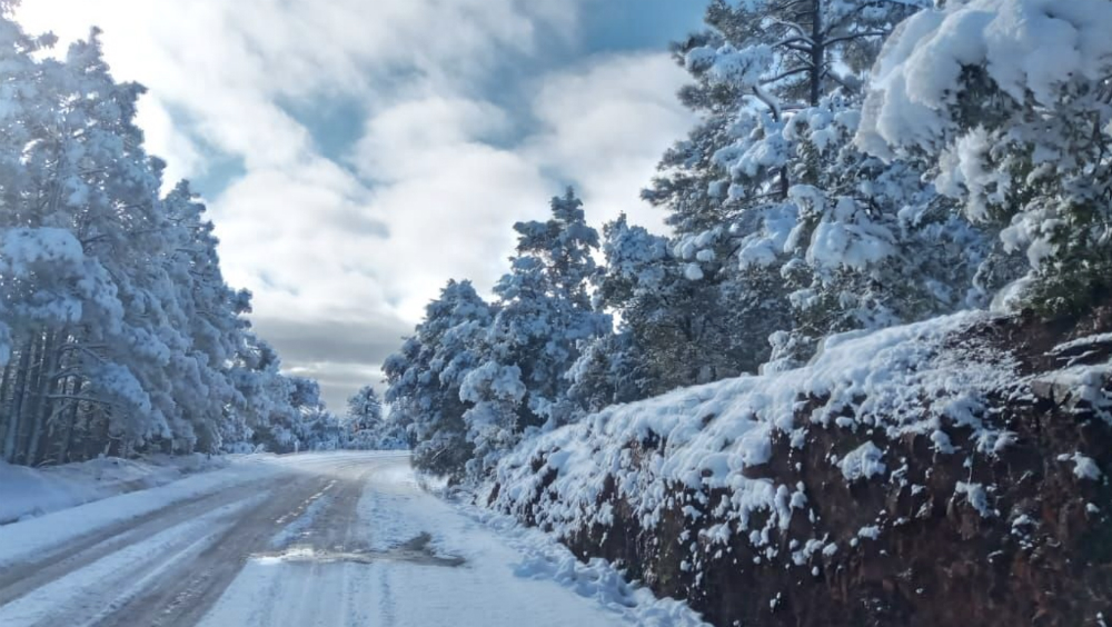 Menos 10 grados en Chihuahua y Durango