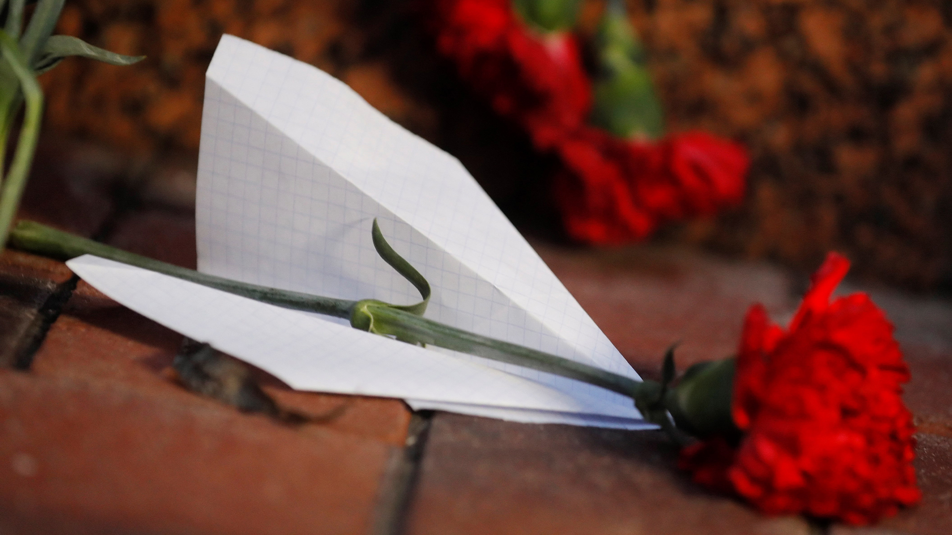 Canadá emite alerta de viaje a Irán - clavel-y-avion-de-papel-en-ofrenda-a-victimas-de-accidente-aereo-en-iran